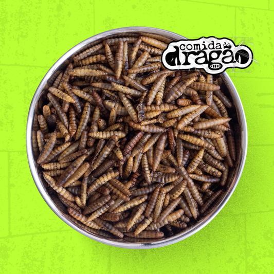 Comida de Dragão - Original®