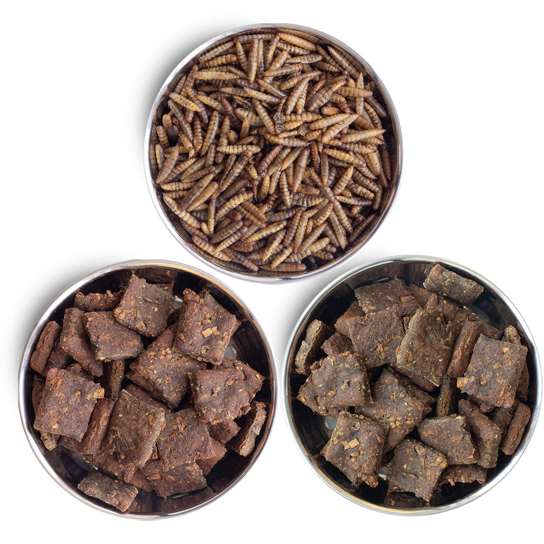 Kit Completo Comida de Dragão (3X)