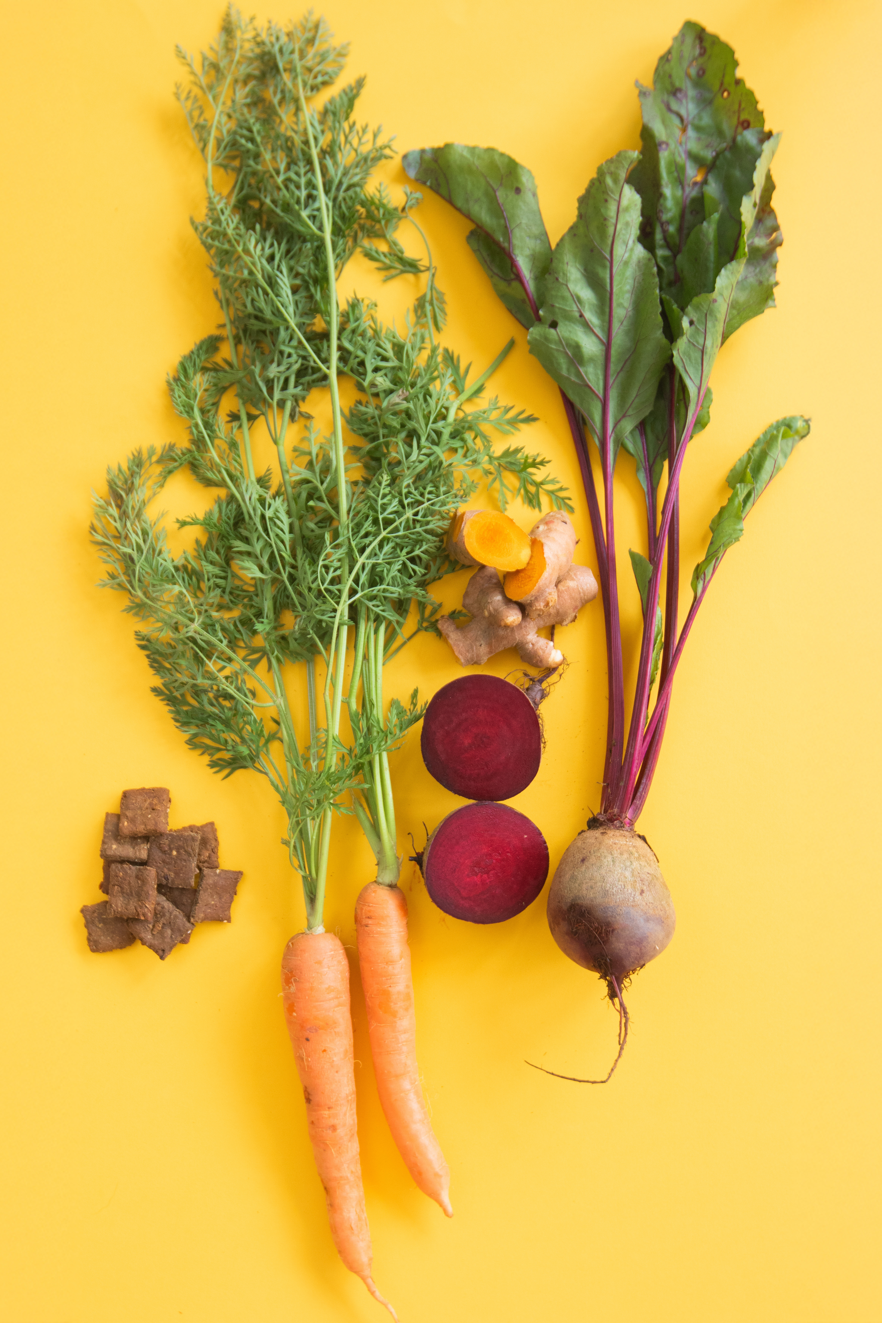 BENEFÍCIOS PARA O SEU DRAGÃO