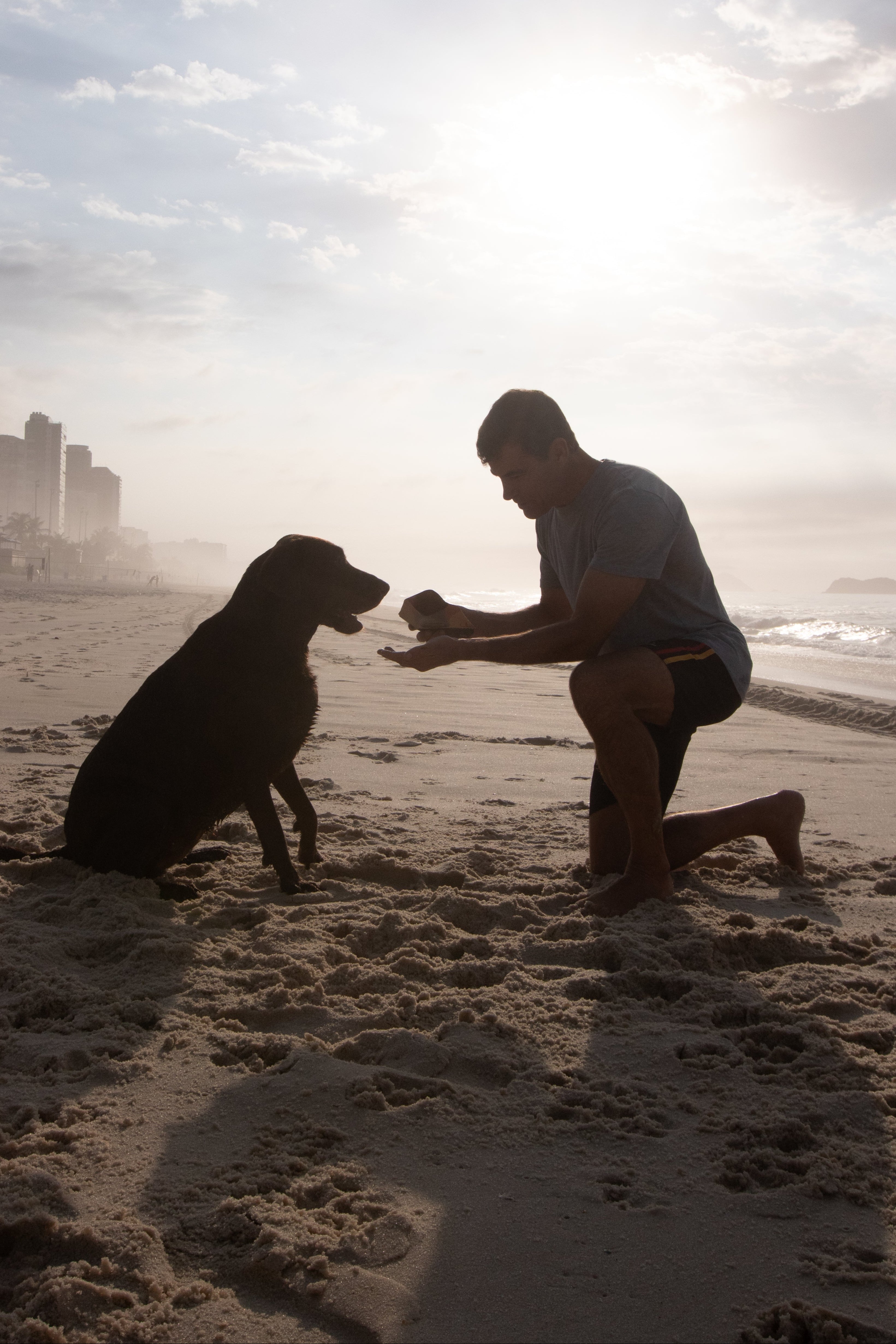 BENEFÍCIOS PARA O SEU DRAGÃO