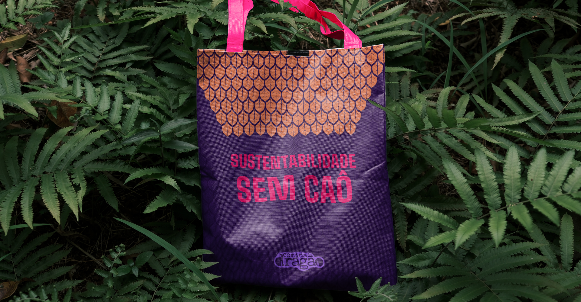 Comida de Dragão - Petisqueira