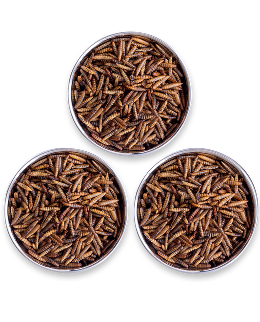 Kit Comida de Dragão - Original