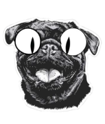 Mordida de Dragão - Legumes Sticker