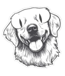 IRADA & SUSTENTÁVEL