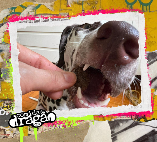 Transição Alimentar em Pets: Protocolo Completo e Seguro [Guia 2026]