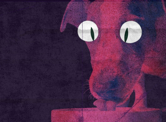 Microbiota intestinal dos pets: como a alimentação influencia tudo