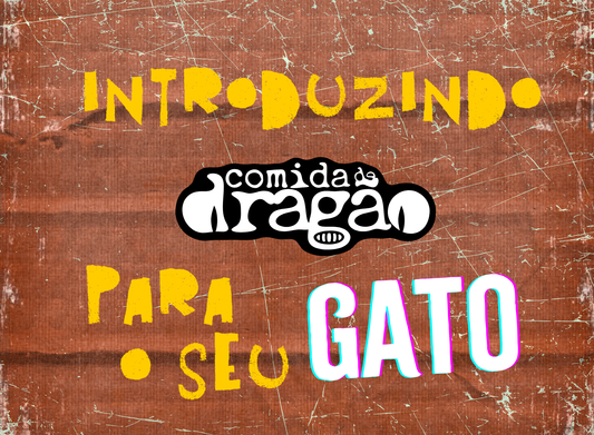 Como introduzir proteína de insetos na rotina do seu gato (sem erro e sem rejeição)
