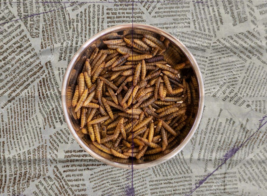 Por que a proteína de insetos é naturalmente hipoalergênica