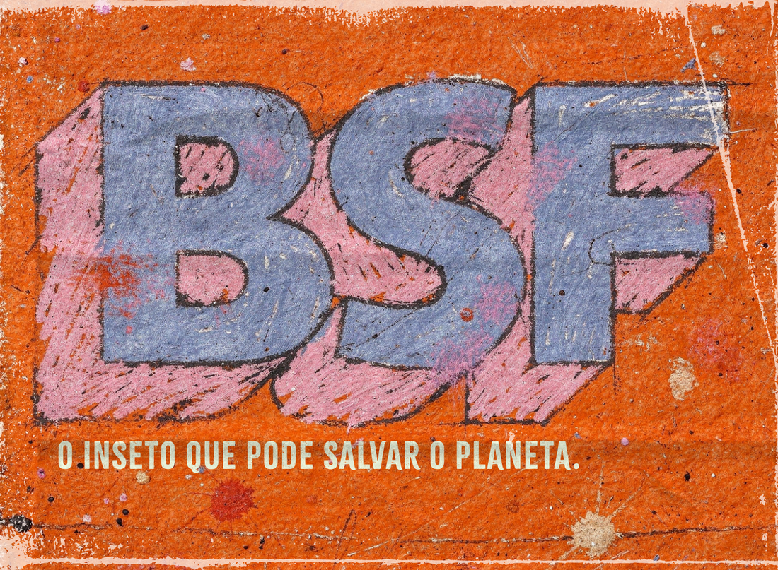 O que é BSF? A proteína de inseto usada na alimentação pet