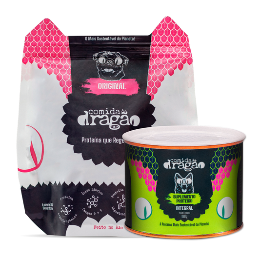 Kit Comida de Dragão para Cães