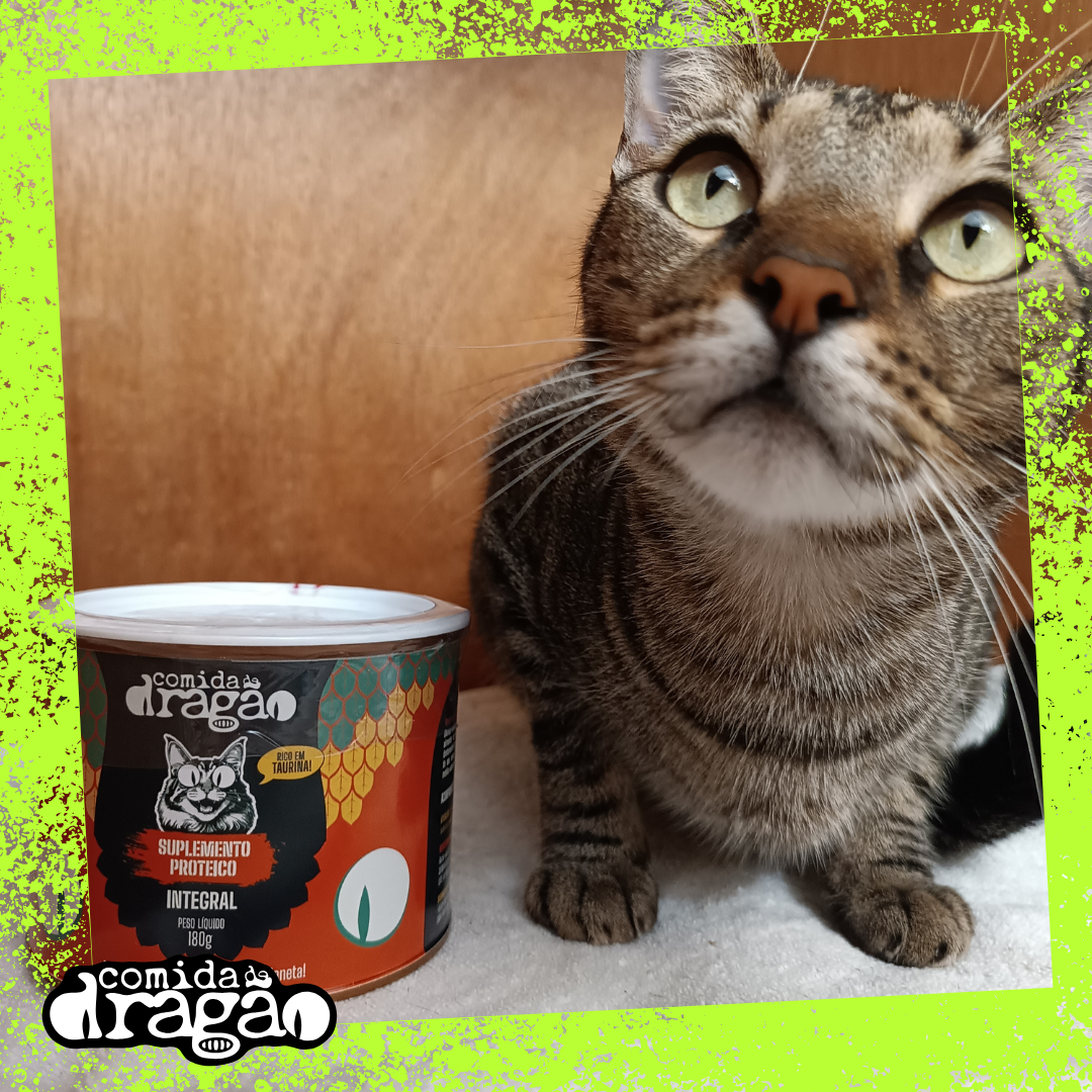 Suplemento para Gatos