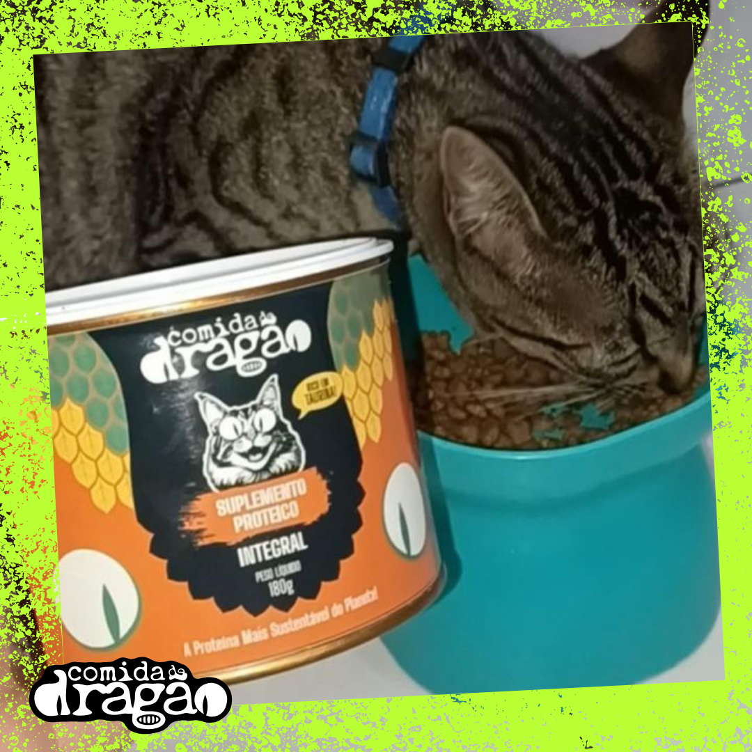 Suplemento para Gatos