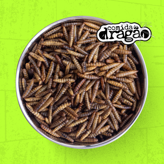 Comida de Dragão - Original®