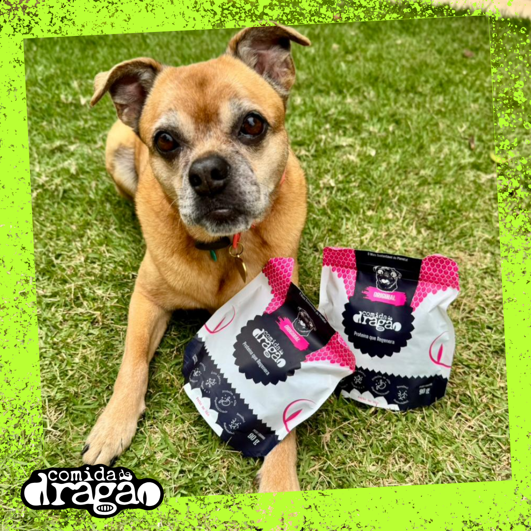 Kit Comida de Dragão - Original