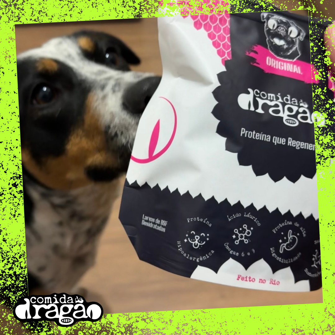 Kit Comida de Dragão - Original