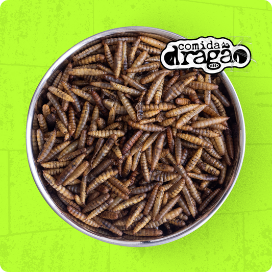 Comida de Dragão Original®