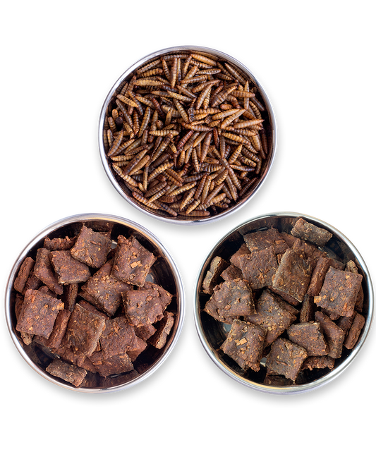 Kit Completo Comida de Dragão