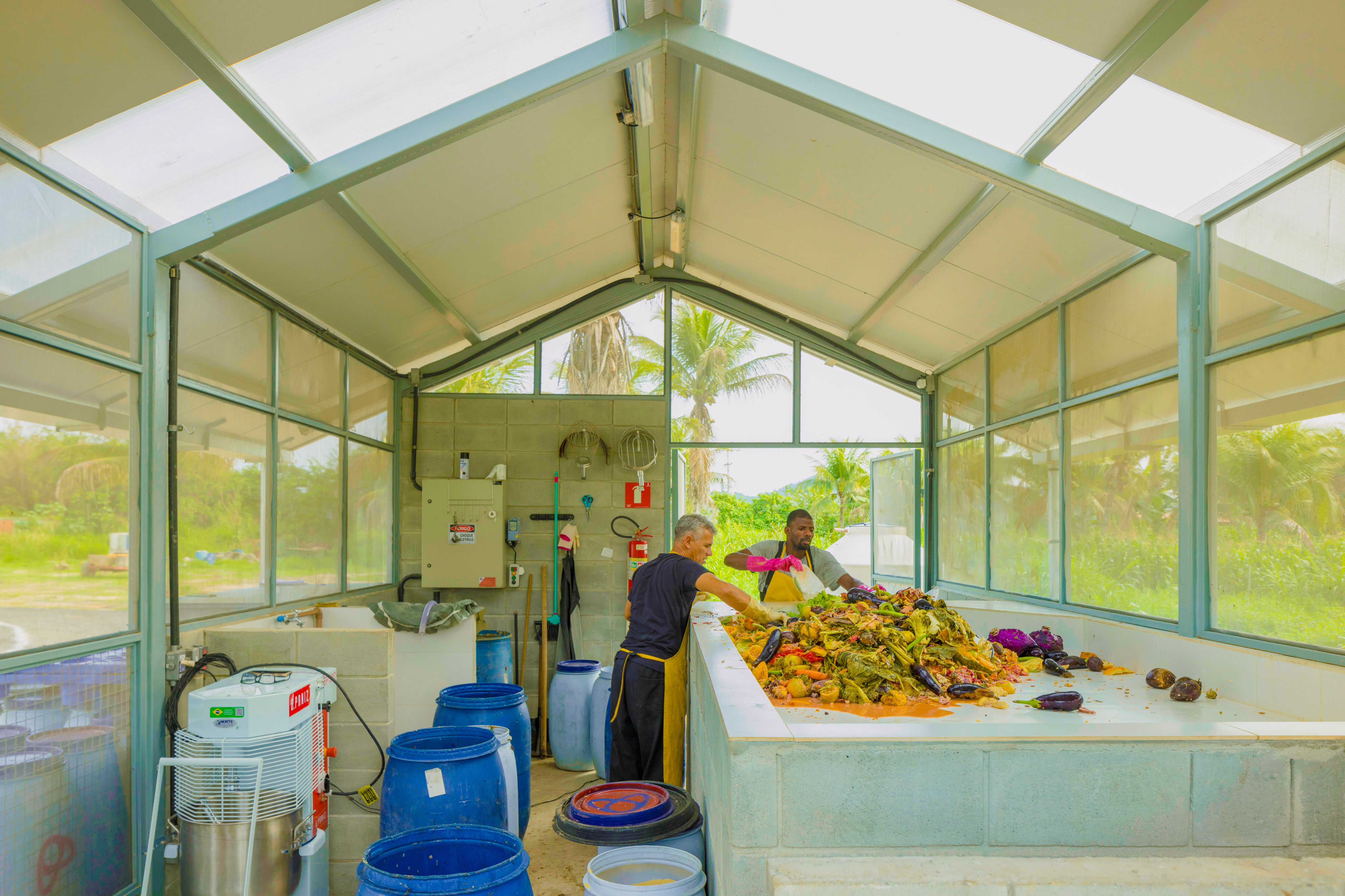 O NASCIMENTO DO DRAGÃO