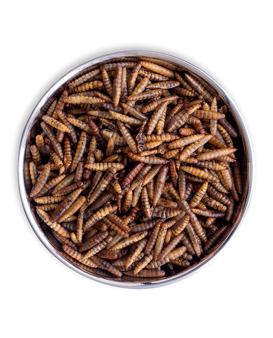 Comida de Dragão - Original®