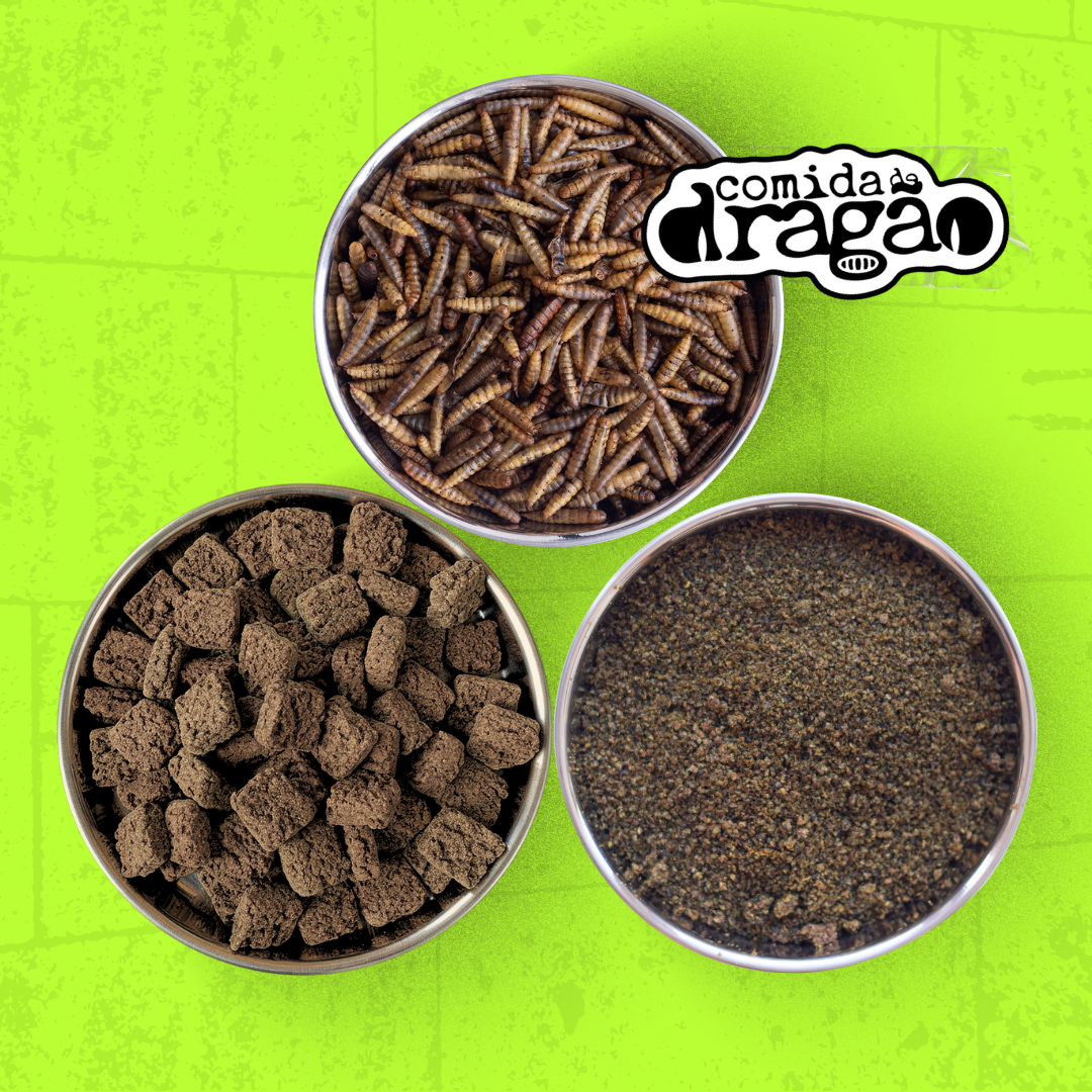 Kit Completo para Cães