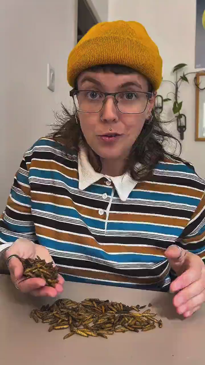 Vídeo de creator: @gabibraunaguiar